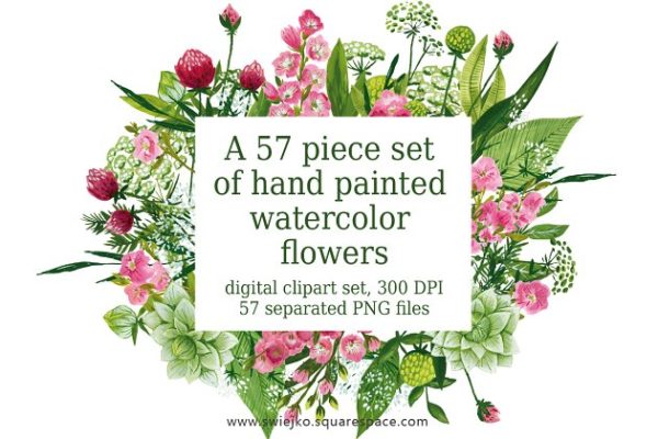 57种手绘花卉和叶子插画 Watercolor flowers, painting