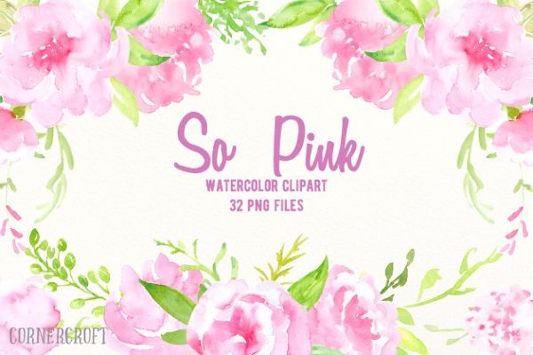 粉色水彩牡丹花卉元素剪贴画 Watercolor Clipart So Pink Flowers