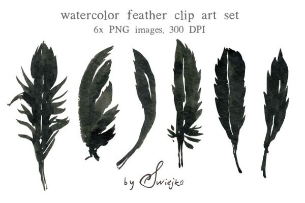 万圣节水彩乌鸦羽毛元素套装 Watercolor Feather
