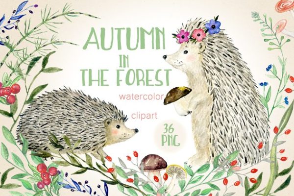 “秋天与刺猬的故事”水彩剪贴画 Autumn in the forest. Hedgehogs