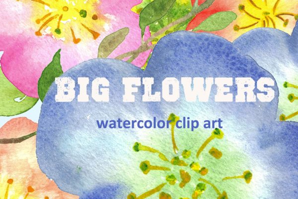 水彩手绘花卉艺术剪贴画设计素材 Big Flowers watercolor clipart