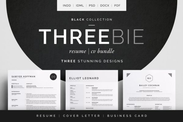经典实用多风格简历模板合集 Threebie Resume/CV Bundle 4
