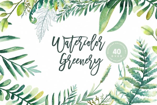 40个绿色植物水彩插画 Watercolor Greenery