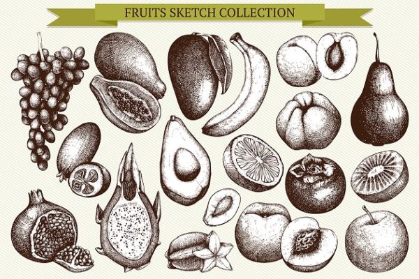 墨水手绘矢量水果插图 Vector Fruits Illustrations Set
