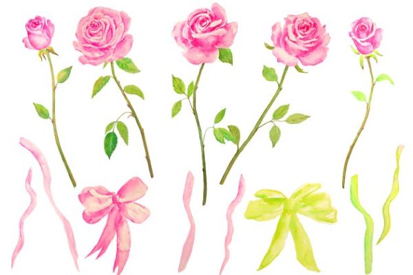 经典粉色花型玫瑰剪贴画 Watercolor Pink Roses