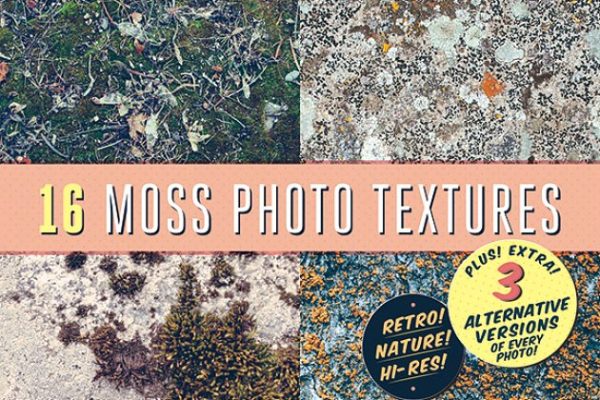 16款苔藓照片纹理 16 Moss Photo Textures