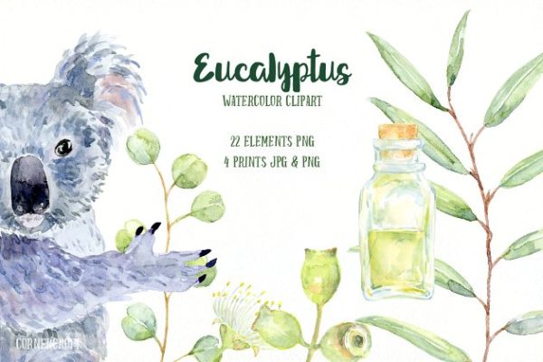 桉树与考拉水彩剪贴画 Watercolor Eucalyptus Koala Clip Art