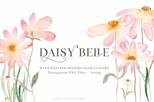 独立手绘花卉树叶图像 Daisy Belle &#8211; Watercolor Flowers