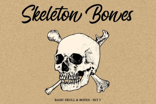 骨骼头骨骷髅矢量手绘插画v3 Skeleton bones set 3