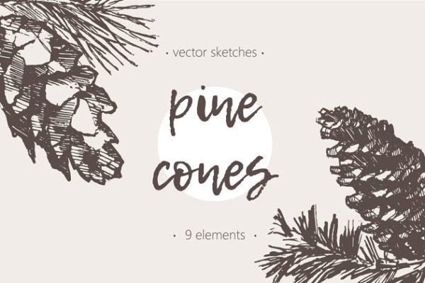 松树素描剪贴画 Sketches of pine cones