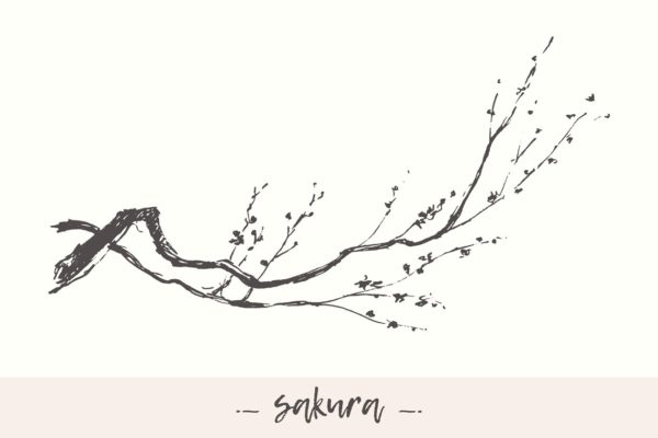 樱花树素描矢量图形 Cherry blossom