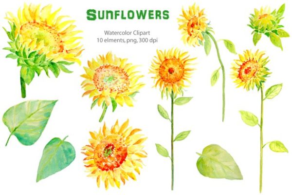 水彩向日葵剪贴画 Watercolor Clipart &#8211; Sunflowers