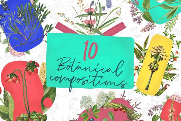 10款草本植物花卉手绘图案素材天下精选PNG素材 10 Botanical Compositions