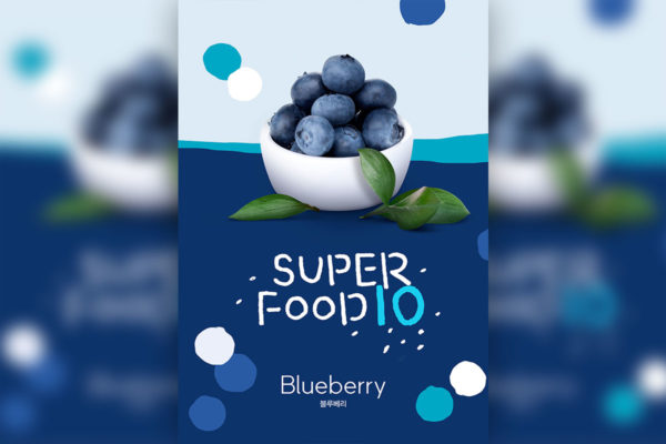 蓝莓水果食品宣传海报设计模板