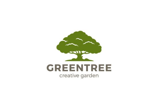 知识/金融/商业主题橡树图形Logo模板 Logo Green Tree Oak Knowledge Business Finance
