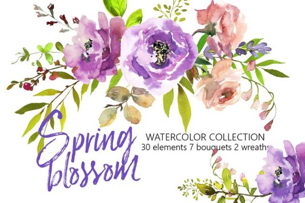 春季花开水彩花卉插画 Spring Blossom Watercolor Flowers