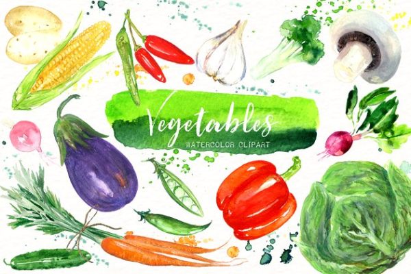 素材素食水彩剪贴画 Vegetables. Vegan Watercolor clipart