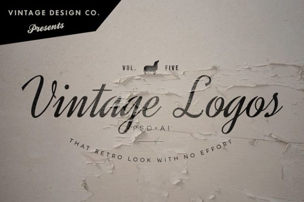 6个复古Logo模板及背景纹理 Vintag