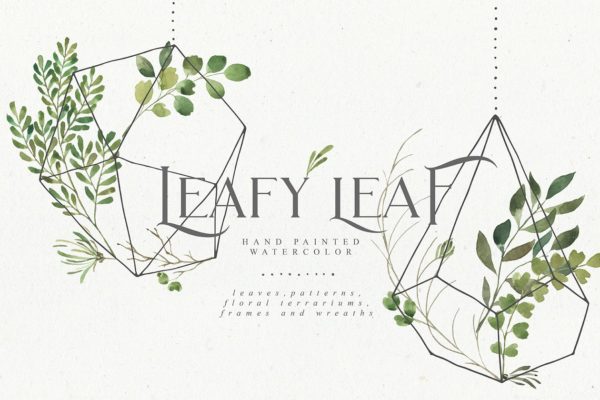 水彩树叶元素、相框、纹理素材包 Leafy Leaf Collection