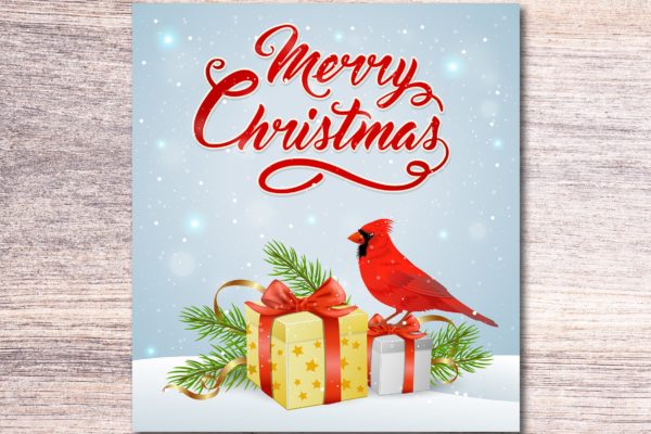 礼物&amp;红雀矢量手绘圣诞节贺卡设计模板 Christmas Gift and Cardinal Bird