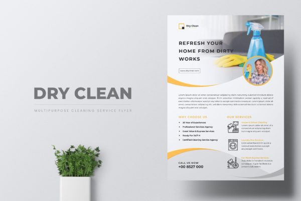 家电清洁上门/家庭家政保洁服务海报传单设计模板 DRYCLEAN Cleaning Services Flyer