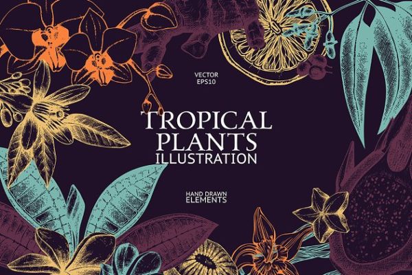 热带植物和花卉矢量图形 Vector Tropical Plants &amp; Flowers