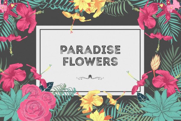 热带花卉和花束手绘插画素材 Paradise Flowers