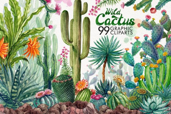 水彩仙人掌剪贴画合集 Watercolor Cactuses