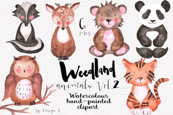 可爱卡通林地动物水彩剪贴画 Woodland Animals Vol.2