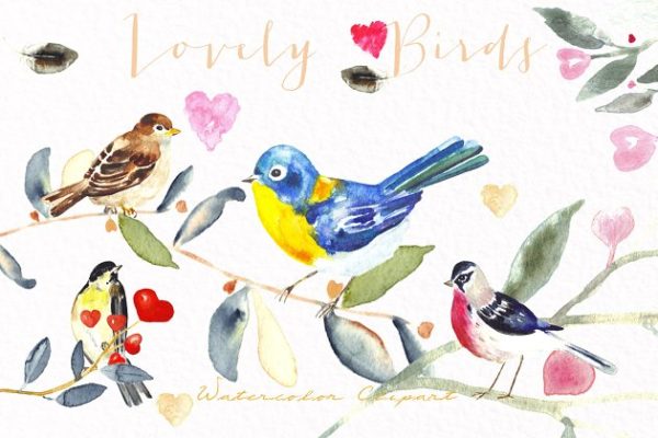可爱彩色小鸟水彩剪贴画 Lovely birds.Watercolor clipart