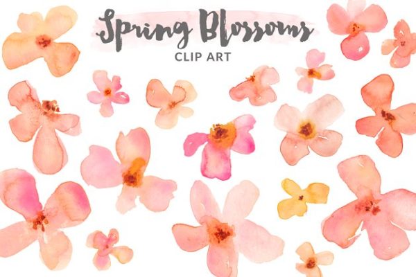 春季美丽彩绘花卉剪贴画 Watercolor Clipart &#8211; Spring Blossoms