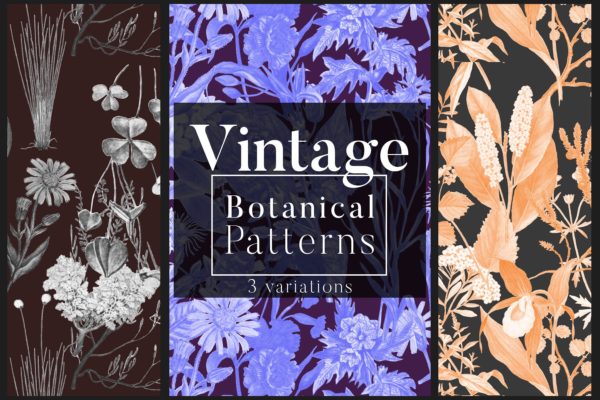 高清复古植物图案背景设计素材 Vintage Botanical Patterns