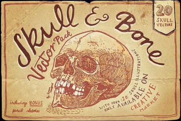 万圣节骷髅头矢量图形合集 Vintage Skull and Bone Vector pack