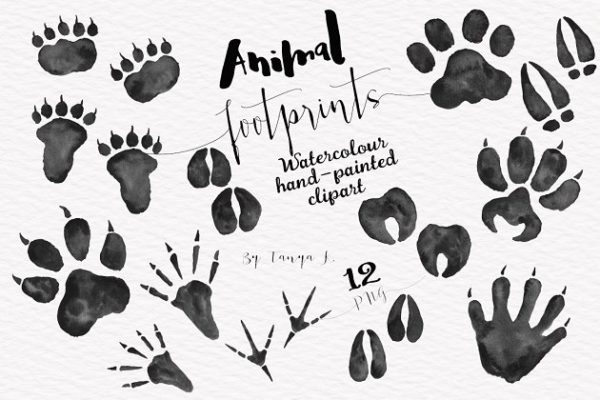 各种各样林地动物足迹剪贴画 Woodland Animals Foot Prints Set