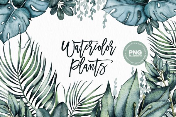 素色水彩植物剪贴画 Watercolor Plants