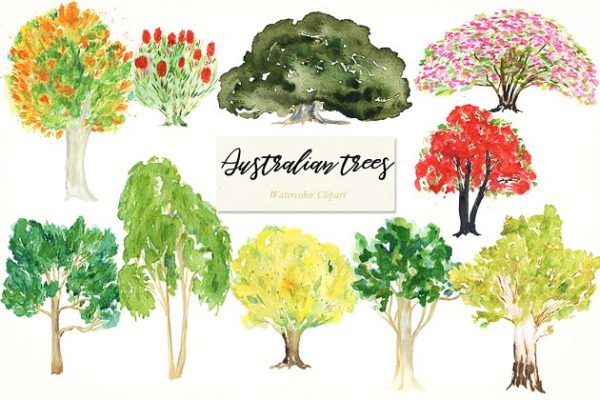 澳大利亚本土树木水彩剪贴画 Australian native trees. Watercolors