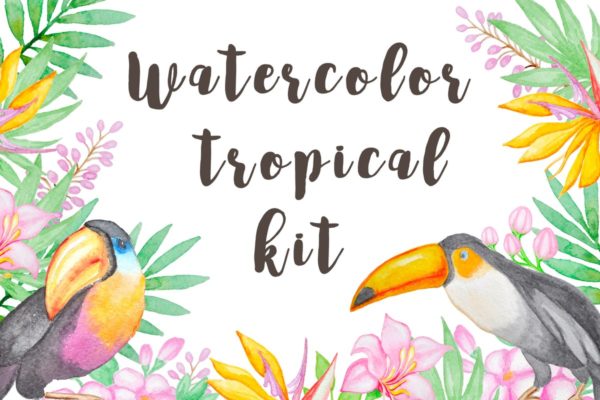 热带主题手绘水彩图案合集 Watercolor Tropical Kit