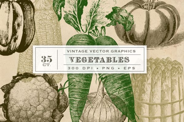 复古原始蔬菜植物矢量插图 Vintage Vegetable Garden Graphics
