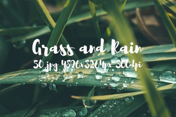 草与雨主题高清照片素材 Grass and rain photo pack