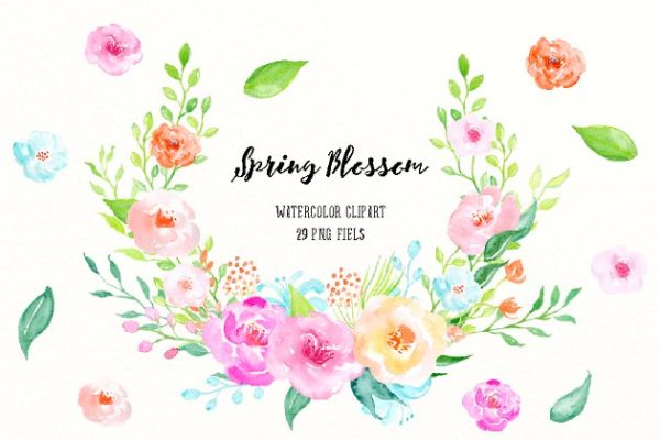 春天气息水彩花卉素材 Watercolor Spring Blossom