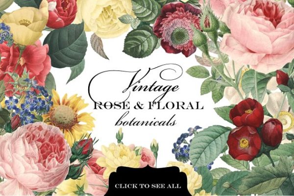 复古玫瑰花卉植物剪贴画 Vintage Rose &amp; Floral Botanicals