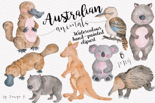 澳大利亚动物水彩剪贴画合集 Australian Watercolor Animals Set