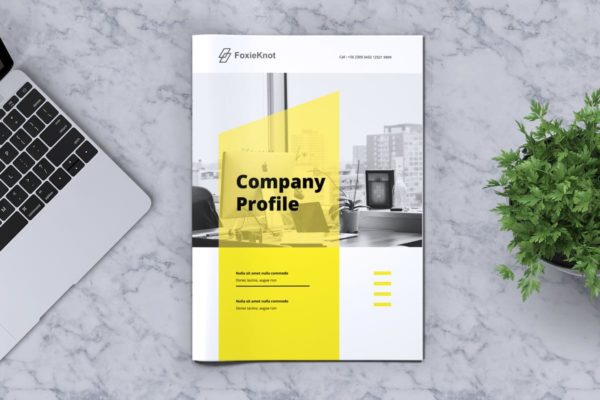 24页公司简介宣传册画册设计模板 FOXIEKNOT &#8211; Company Profile Brochure