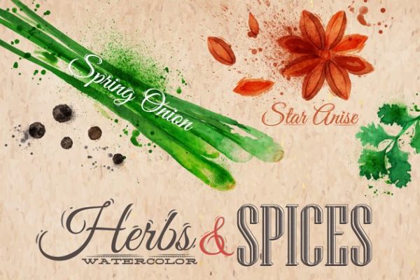 药草香料水彩插画 Herbs spices watercolor