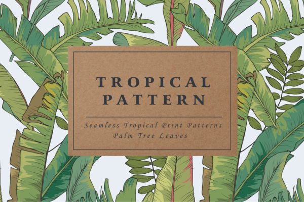 热带植物棕榈树矢量无缝图案Palm T