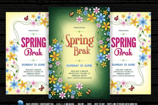 春季旅游活动海报模板 Spring Break /  Time Flyer