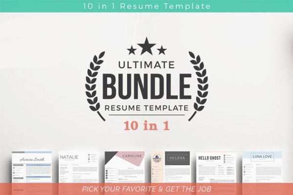 10合一简历模板合集 10 in 1 Resume Templates Bundle