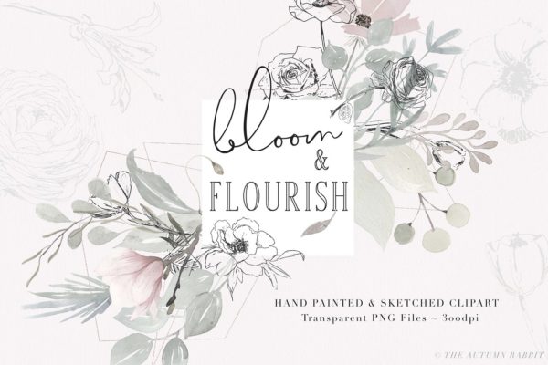 淡雅手绘素描花卉剪贴画 Bloom &amp; Flourish &#8211; Floral Clipart