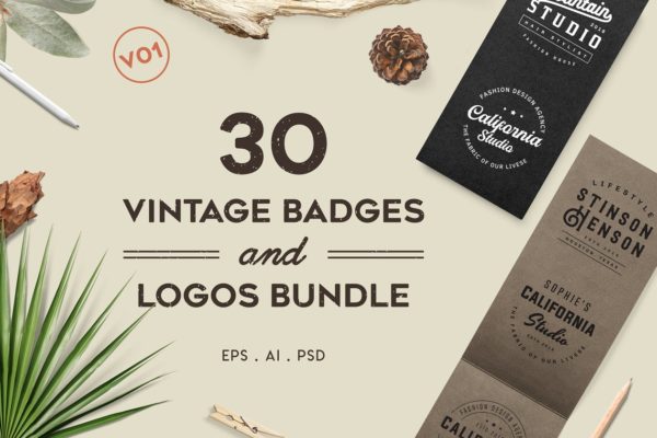 复古徽标&amp;Logo设计模板 Vintage Badges and Logos Bundle V01