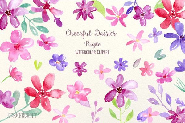 紫色主题雏菊花卉＆装饰元素集合 Watercolor Cheerful Daisy Purple